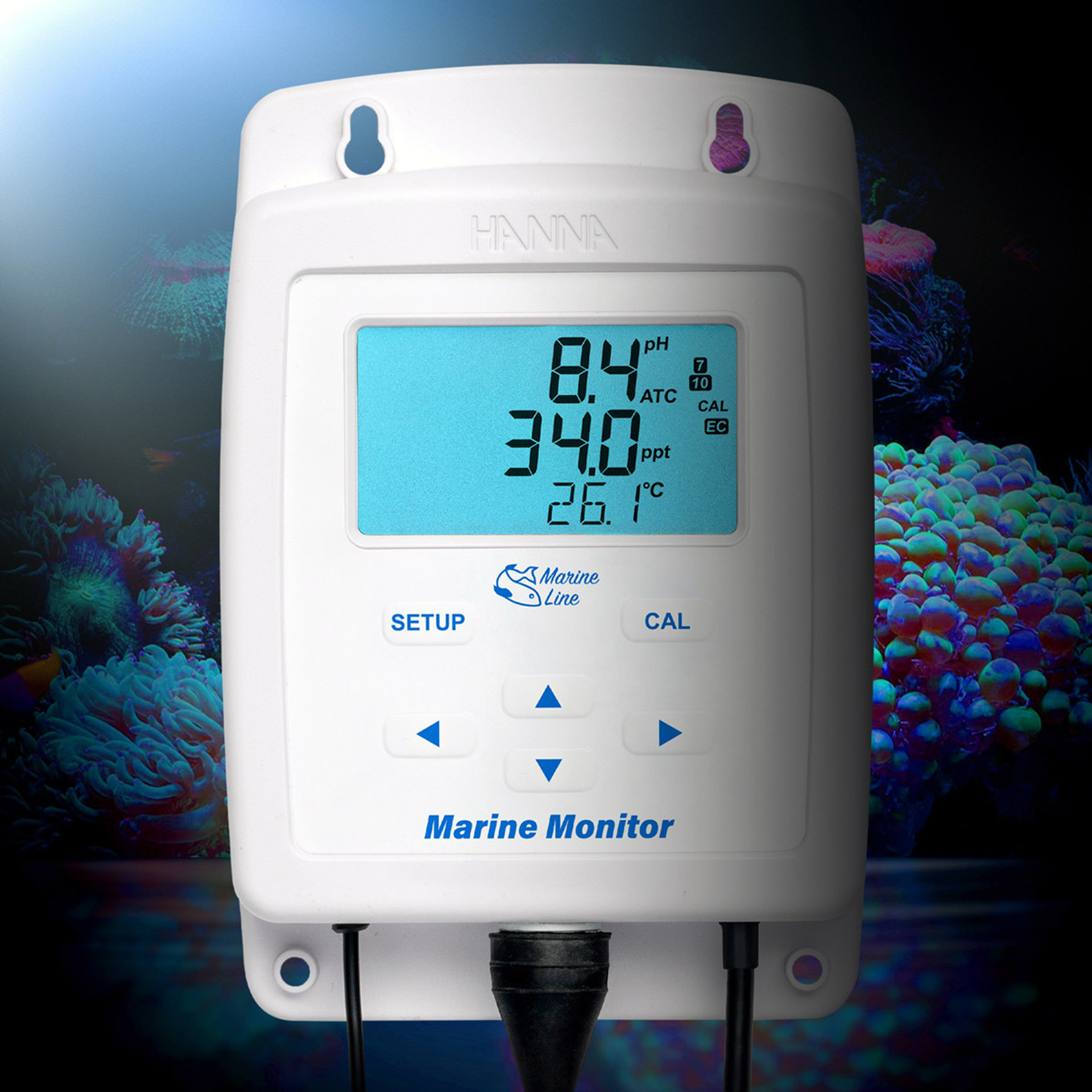 Monitor HI981520 für pH, Salzgehalt und Temperatur in Meerwasserquarien